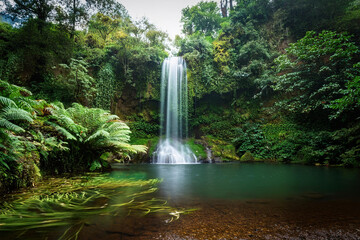 waterfall in the forest