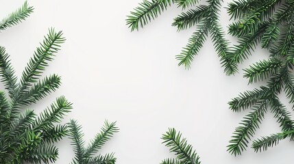 christmas background with christmas branches and decorations