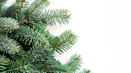 christmas background with christmas branches and decorations