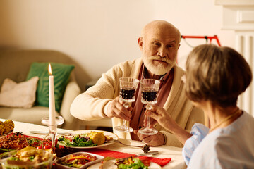 A senior couple enjoys a heartfelt toast during their cozy Christmas celebration at home.