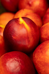 a small harvest of ripe washed nectarines