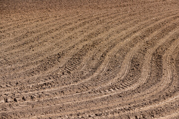 fertile soil in spring during the preparation for sowing