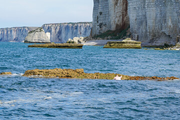 A person is swimming near rocky formations in the blue sea, with towering cliffs in the background...