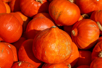 Bright orange pumpkins are stacked closely together, showcasing their vibrant color under natural...