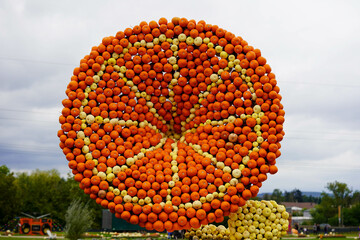 The image shows a large installation made of numerous small pumpkins, arranged to resemble a giant...