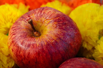 red apples and yellow flowers
