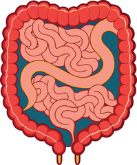 Obraz premium human intestines vector illustration graphic design