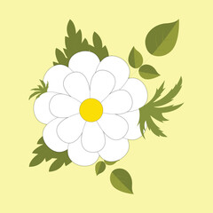 Botanical Floral Colored Sketch Drawing on White Background. Hand Drawn Vector Line art Graphic Illustration with leaves, bouquets, herbs, twigs, flower compositions for wedding and decorations.