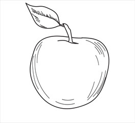 apple vector illustration. Hand drawn tropical fruit illustration. 