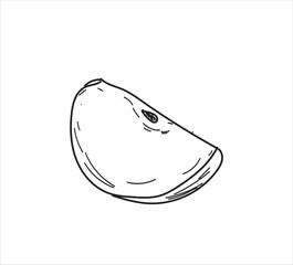 apple vector illustration. Hand drawn tropical fruit illustration. 