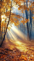 Fototapeta premium Sunlit Autumn Forest with Captivating Golden Leaves