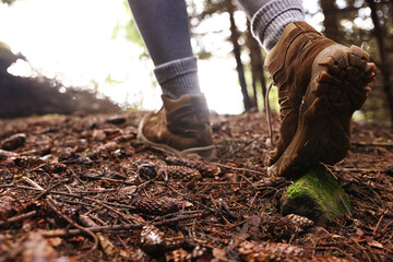 Hiker in trekking shoes walking in forest, closeup
