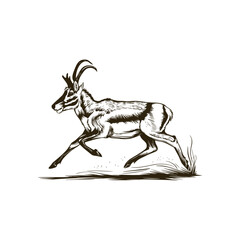 Obraz premium Vintage engraving woodcut deer vector illustration art design
