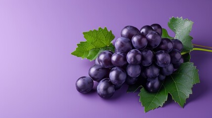 Fototapeta premium Captivating Beauty: Black Wine Grape and Kyoho Grape in Stunning Isolation on a Purple Background (I