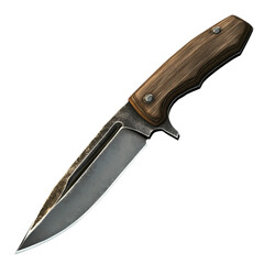 Obraz premium High-Quality Knife Image for Culinary and Design Needs