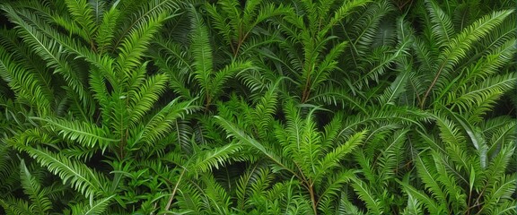 Obraz premium Shades of Green: Exploring the Beauty of Nature, Banner