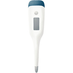 Clinical thermometer