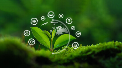 ESG icon Environmental, social and governance concept Net zero greenhouse gas emissions on growing seedlings for greenhouse gas emission target Sustainable global environment concept