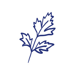 Parsley herbs. Vegetable sketch. Hand drawn blue pen or marker drawing. Primitive kids picture