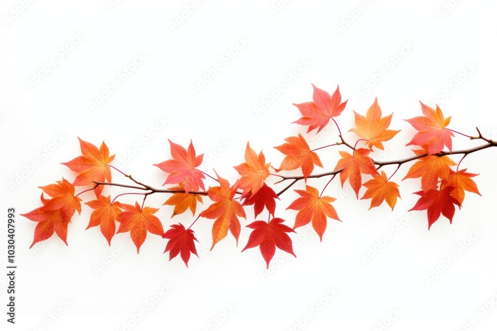 Canvas Prints Vibrant autumn leaves on branch