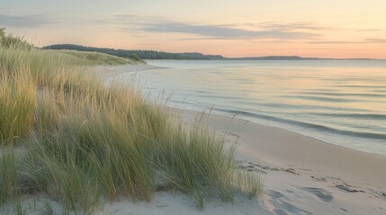 Fototapeta premium A Calm Beach Scene at Sunset with Lush Green Grass