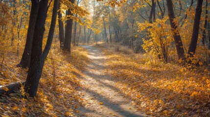 Obraz premium Autumn landscape. The path in the autumn forest with yellow leaves