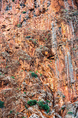 Sheer basalt rock with red stones over sea in sunny day.Weathered and cracked basalt rocks with lonely pine tree