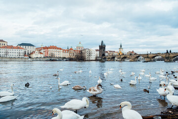view of the city from the charles bridge