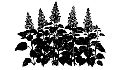 Astilbe flowers blooming in a shaded area of a backyard garden with dense foliage, vector illustration art
