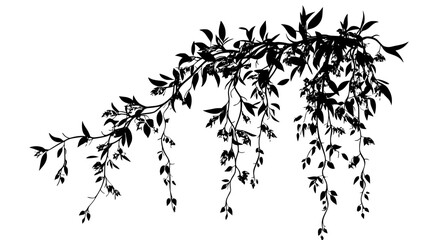 Naklejka premium Aerial roots of an epiphytic orchid growing on a tree branch, vector illustration art