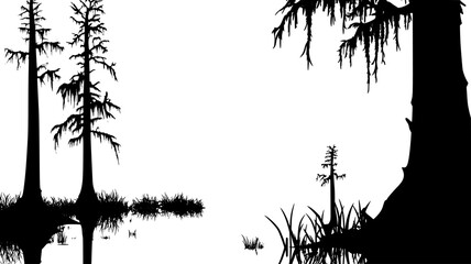 Bald cypress with knees in a swamp landscape, vector illustration art