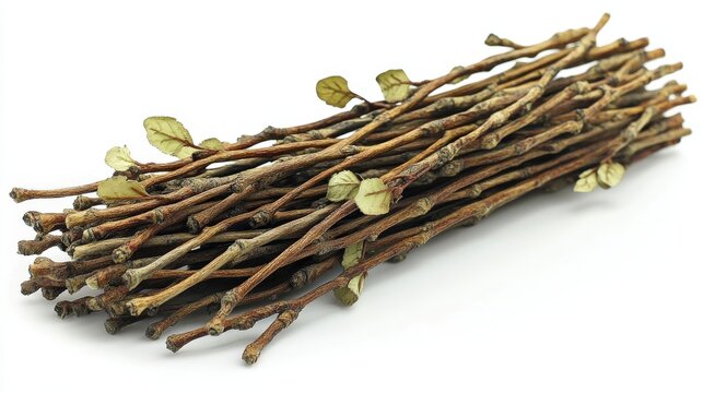 A bundle of twigs with small leaves, often used for crafting or decoration.