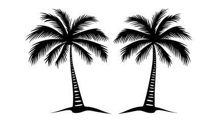 Coconut palm with tall trunk and large, feather-shaped fronds, vector illustration art