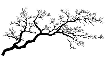 Obraz premium Dogwood tree with horizontal branching structure, vector illustration art