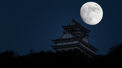 月とお城