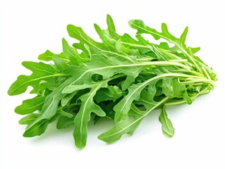 A image showcasing a bountiful bunch of fresh  vibrant green arugula leaves  The leaves are beautifully displayed against a clean white background  highlighting their natural elegance