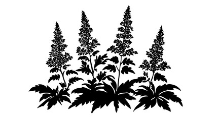 Astilbe flowers blooming in a shaded area of a backyard garden with dense foliage, vector illustration art