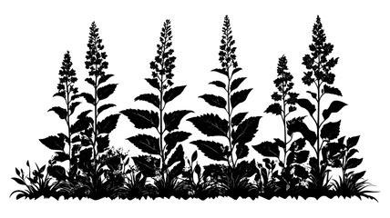 Fototapeta premium Astilbe with feathery plumes in a woodland garden setting, vector illustration art
