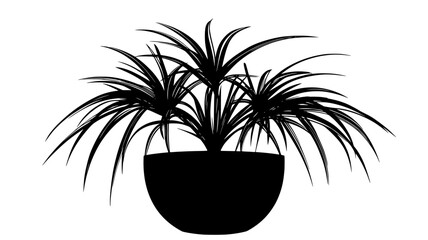 Obraz premium Dracaena plant with long, strappy leaves in an office space, vector illustration art