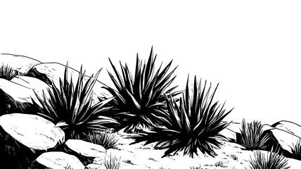 Agave plants growing on a rocky hillside in an arid landscape, vector illustration art