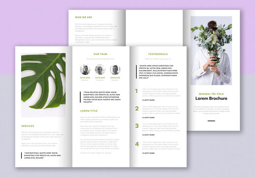 Trifold Brochure with Green Accents