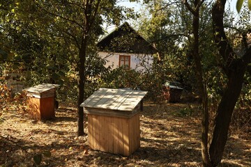 Fototapeta premium Beekeeping setup in a garden with hives near a rustic house