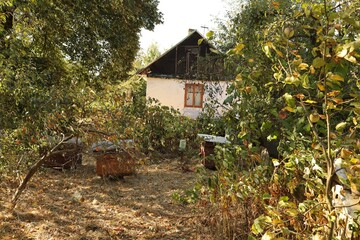 Overgrown garden reveals a quaint country house in autumn's embrace