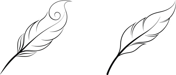 Two Simple Black Line Drawings of Feathers