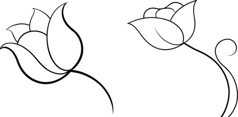 Simple Line Art Floral Design Illustration