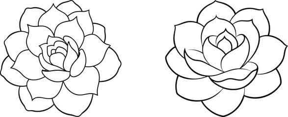 Two Black And White Outline Rose Flowers