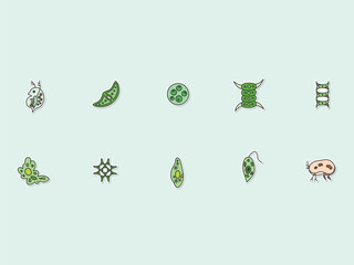 ステッカー微生物のイラストアイコンセット（背景なし）
