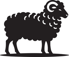 black and white sheep