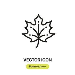 Maple Leaf icon vector. Linear-style sign for mobile concept and web design. Maple Leaf symbol illustration. Pixel vector graphics - Vector.