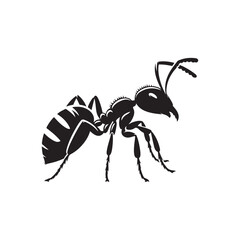 Ant Vector Silhouettes. Black Ants on White Background.